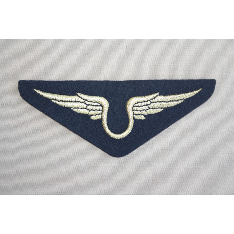 Insigne Armée de l'Air